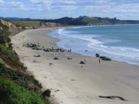 Albums/20060200-New Zealand 2006/20060315-Moeraki/0